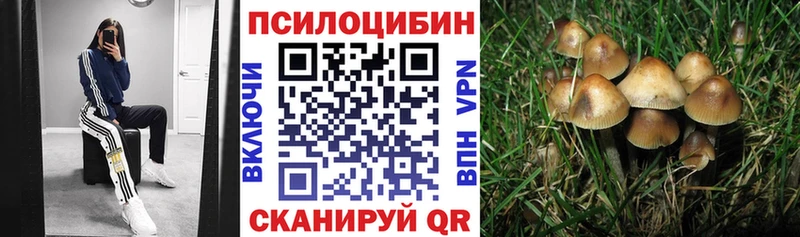Псилоцибиновые грибы Magic Shrooms  Новотроицк 