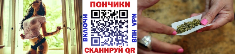 закладка  гидра рабочий сайт  Бошки Шишки SATIVA & INDICA  Новотроицк 